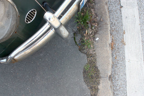 Beetle beetle1